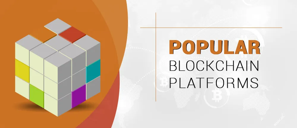 Popular Blockchain Platforms